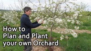 How to Plan and Plant your own Orchard [upl. by Elime]