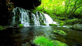 Beautiful Forest Waterfall Landscape Flowing Water White Noise Nature Sounds for Relaxing Sleep [upl. by Greabe]