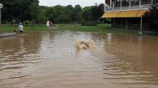 Hochwasser Ditzingen [upl. by Carothers]