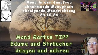 Mond Garten TIPP  Bäume und Sträucher jetzt düngen und nähren [upl. by Thinia]