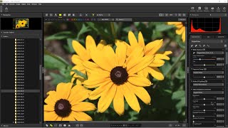 Nikon NX Studio  Review and Overview [upl. by Godwin143]