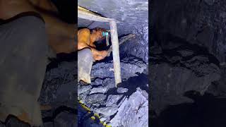 Coal Mining Underground 😱 shorts coalmining viralshorts trending [upl. by Ramsdell]