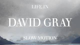 David Gray  Slow Motion Official Audio [upl. by Arbe]