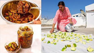 आम का असली अचार कैसे बनाते है  Mango Pickle Recipe  Traditional Aam Ka Achar  Kabitaskitcen [upl. by Nam140]