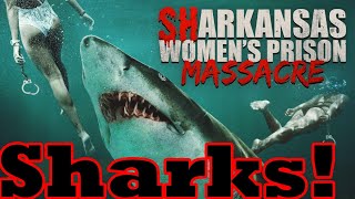 Sharkansas Womens Prison Massacre  Crazy Shark Fun [upl. by Renata]