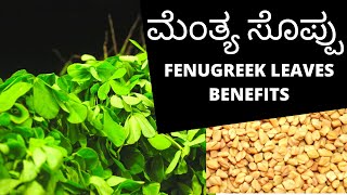 Fenugreek leaves benefits  Menthya soppu in kannada  Kannada Health Tips [upl. by Dyob]