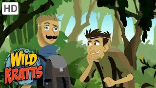 WILD KRATTS  Hiding From A TIGER  Nature [upl. by Moreen]