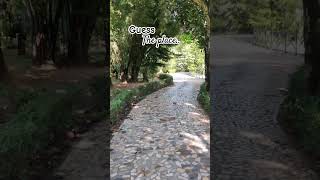 🌿 dhaka resort bangladesh nature trendingsong ytshorts viralshort beautifulplace [upl. by Yenatirb]