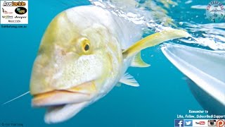 Drift Fishing the Roy Rufus Artificial Reef in Hervey Bay [upl. by Claudelle]