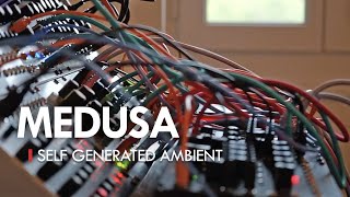 MEDUSA Self generated ambient [upl. by Ramar590]