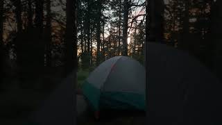 Humphreys Peak Trail Camping [upl. by Ikkim475]