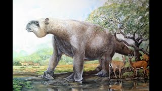 The Colossal Sloth  Megatherium [upl. by Scever]