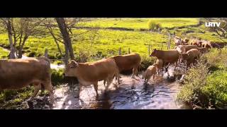 Fête de la Transhumance à Aubrac [upl. by Hayse]