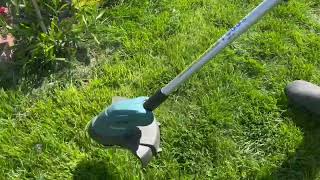 Best cordless strimmer [upl. by Yolande]