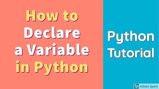 How to Declare a Variable in Python [upl. by Analah]