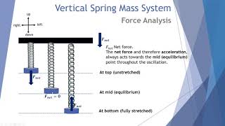 Vertical Mass Spring System [upl. by Darb65]