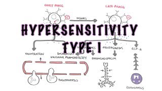 Hypersensitivity Type I reaction Immediate or allergic reaction  pathophysiology [upl. by Kenzie]