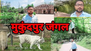 rampurkirasoi Mukundpur zoo Rewa M P [upl. by Trub]