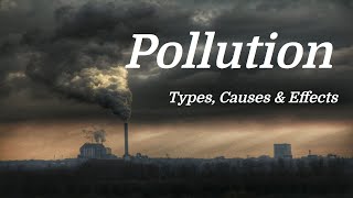 Pollution Mini Documentary Types  Causes  Effects [upl. by Airamasor]