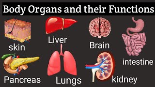 An Introduction to Body Organs and Their Functions Understanding the Workings of the Human Body [upl. by Enirok]