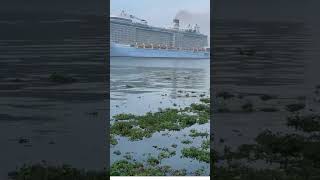 Ship spotting Anthem of Seas shipspotting kochi [upl. by Eden]