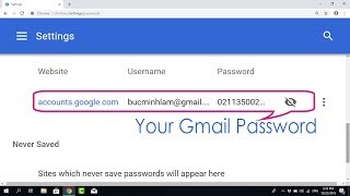 How to Show Gmail Password in Google Chrome  NETVN [upl. by Meeks]