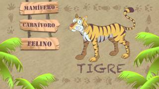 Las características del TIGRE [upl. by Elspet]