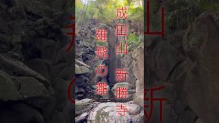 成田山 新勝寺『雄飛の瀧』🐉20241124♯成田山新勝寺♯瀧 [upl. by Annavaig]