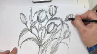 Come Disegnare dei Tulipani Tutorial [upl. by Flodnar]