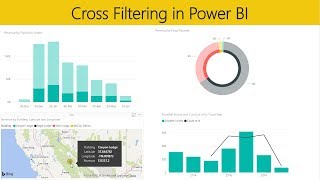 Free Sample Lesson Cross Filtering In Power Bi [upl. by Sommer305]