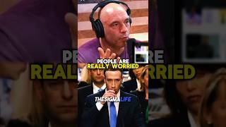 Rogan on Mark Zuckerberg Speaking Mandarin in China [upl. by Ameen172]