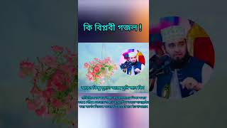 বিপ্লবী গজল। [upl. by Rodolph488]