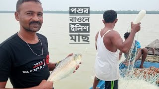 পশুর বাওনে ইলিশ মাছ  শেষ পর্ব  সিজন ১৮  পর্ব ০৯  শেষ পর্ব  বেলায়েত সরদার  Mohsin ul Hakim [upl. by Hali143]