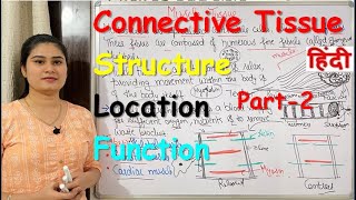 Connective Tissue in Hindi  Part2  Structure  Locations  Types  Functions [upl. by Endor]