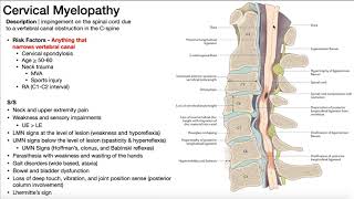 Cervical Myelopathy  Presentation Risk Factors amp SignsSymptoms [upl. by Enalda637]