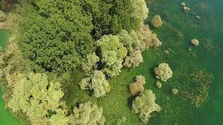 Lac du Der en Champagne – Survol de l’ile de Chantecoq [upl. by Sadella]