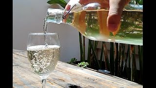 Homemade Sparkling Rice Wine [upl. by Teague]