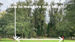 How to measure your tree height [upl. by Justen]