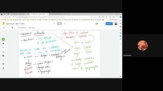 A level  Monoclonal antibodies and hybridomas  A quick revision [upl. by Curson]