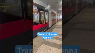 Trams in Vienna Austria  281024 [upl. by Tonkin]