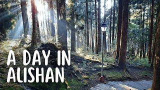 Exploring Alishan  Taiwans Greatest National Park [upl. by Zrike]