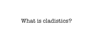 What is Cladistics [upl. by Averell]