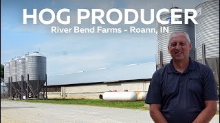 Indiana Hog Producer  River Bend Farms Roann IN [upl. by Hurlow685]