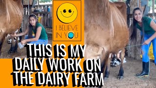 this is my daily work On The Dairy Farm 🙂Cow Milking  Special VlogReal  Village Life [upl. by Narot]