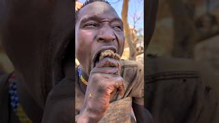 This is how hadzabe cooks honey badger 🦡 middle of forest So delicious 😋hadzabetribe food [upl. by Gerti]