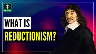 What is Reductionism [upl. by Anialram]