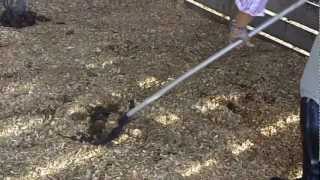 How To Clean A Horse Stall  AllHorseTalkcom [upl. by Ayiram105]