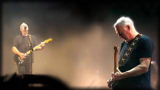 David Gilmour  I migliori assoli di chitarra [upl. by Leontine109]