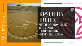 КРУГИ НА ПОЛЯХ Что на самом деле означают таинственные «Круги на полях» [upl. by Yesnik932]