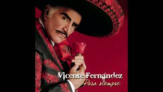 Vicente Fernández  Un Millón De Primaveras Cover Audio [upl. by Brenk]